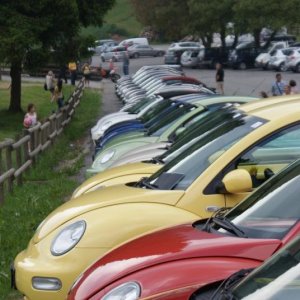 Raduno d'Estate 2013