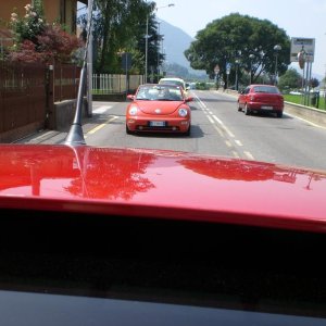 Il serpentone colorato.