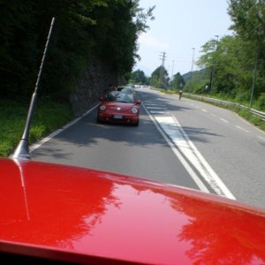 Il serpentone colorato.