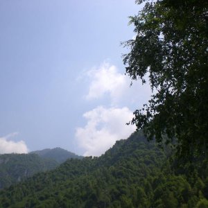 Il serpentone colorato.