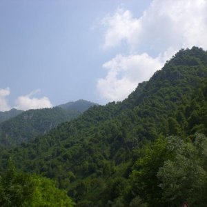 Il serpentone colorato.