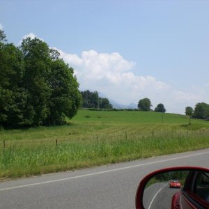 Il serpentone colorato.