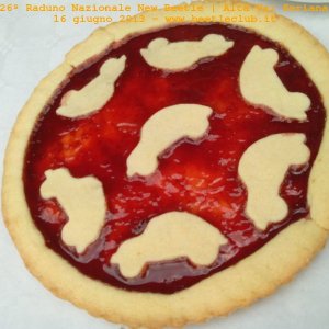 16-06-2013 Raduno d'Estate 2013