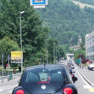 XXVI Raduno Nazionale