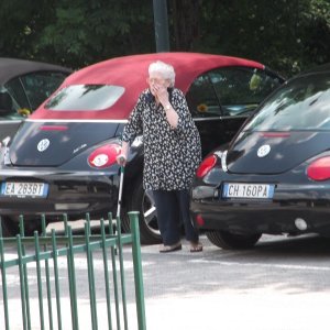 XXVI Raduno Nazionale