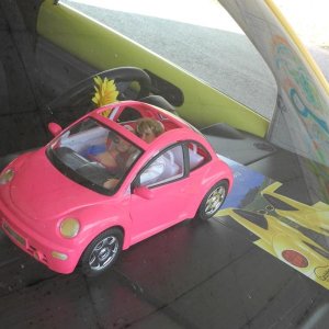 Raduno d'Estate 2013 in Val Seriana