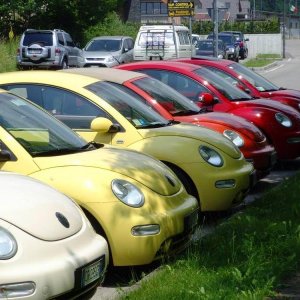 VAL SERIANA - RADUNO 2013