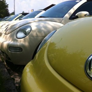 Raduno d'Estate 2013 nell'Alta Val Seriana