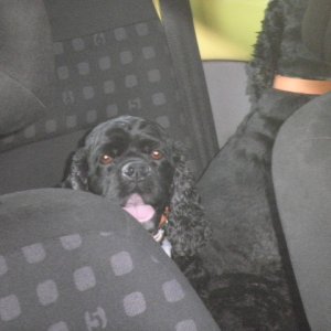 9" meeting sunshinetour 2013 part 3"