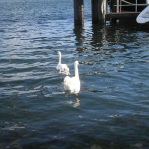 9" meeting sunshinetour 2013  part 1"