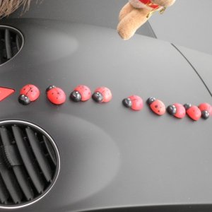 9" meeting sunshinetour 2013  part 4"