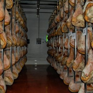 27? Raduno Nazionale - Colline Friulane - 29.09.2013