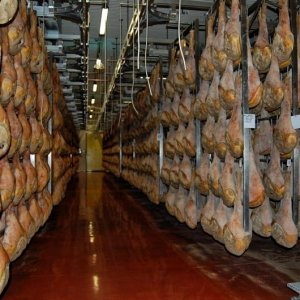 27? Raduno Nazionale - Colline Friulane - 29.09.2013