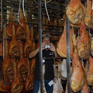 27? Raduno Nazionale - Colline Friulane - 29.09.2013