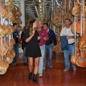 27? Raduno Nazionale - Colline Friulane - 29.09.2013