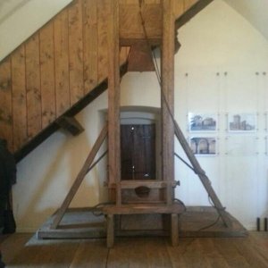 28? Raduno BeetleClub