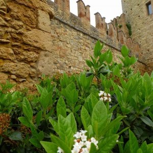 28? Raduno- Castello di Vigoleno (PC)