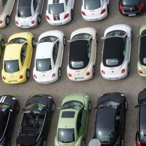 28? Raduno- Castello di Vigoleno (PC)