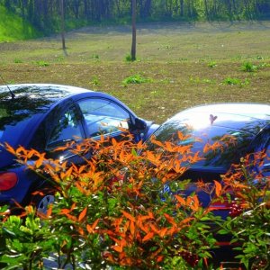 28? Raduno- Castello di Vigoleno (PC)