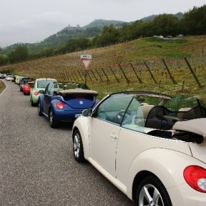 Raduno di primavera 2014 Vigoleno