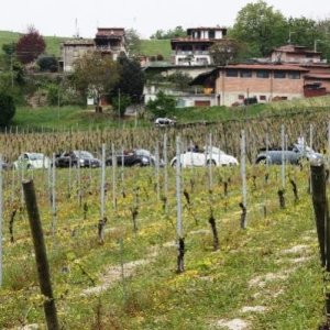 Raduno di primavera 2014 Vigoleno