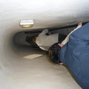 il 28? raduno nazionale delle New Beetle a Vigoleno !