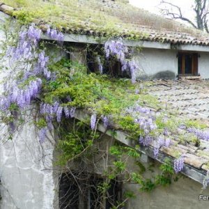 Raduno di Primavera Vigoleno