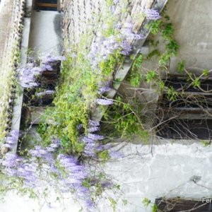 Raduno di Primavera Vigoleno