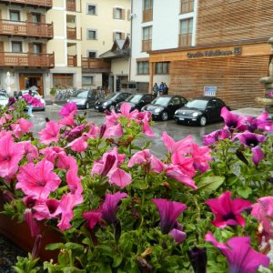 Raduno 29/06/14: destinazione Livigno