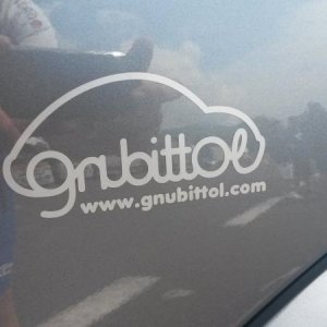 Scalata in trike e 29? Raduno d' estate 2014 al Passo dello Stelvio