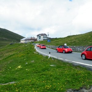 Raduno d'Estate Stelvio e Livigno