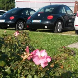 30 ? raduno nazionale ed .... anche internazionale !