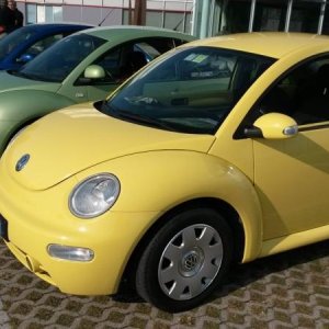 30 ? raduno nazionale ed .... anche internazionale !