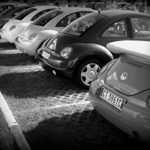 30? Raduno - Borghetto