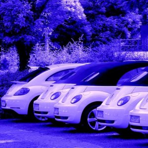 30? Raduno - Borghetto