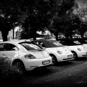 30? Raduno - Borghetto