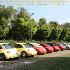 30? Raduno Nazionale New Beetle