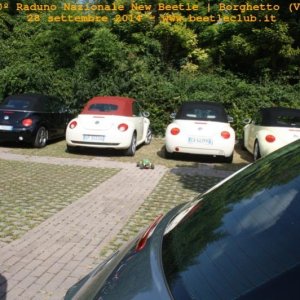 30? Raduno Nazionale New Beetle