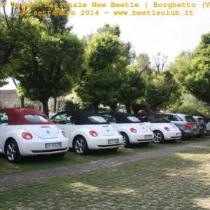 30? Raduno Nazionale New Beetle