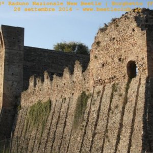 30? Raduno Nazionale New Beetle