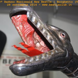 30? Raduno Nazionale New Beetle