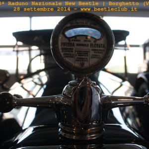 30? Raduno Nazionale New Beetle