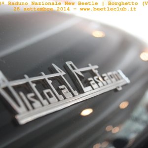 30? Raduno Nazionale New Beetle