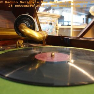 30? Raduno Nazionale New Beetle