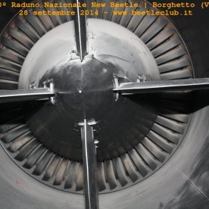 30? Raduno Nazionale New Beetle