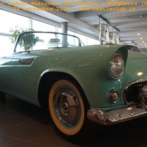 30? Raduno Nazionale New Beetle