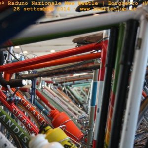 30? Raduno Nazionale New Beetle