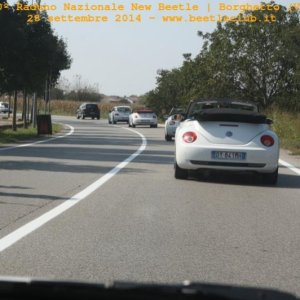 30? Raduno Nazionale New Beetle