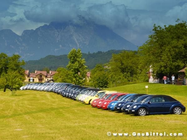 01-06-2008 - ESTremamente Gnu! 2008