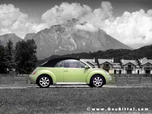 01-06-2008 - ESTremamente Gnu! 2008